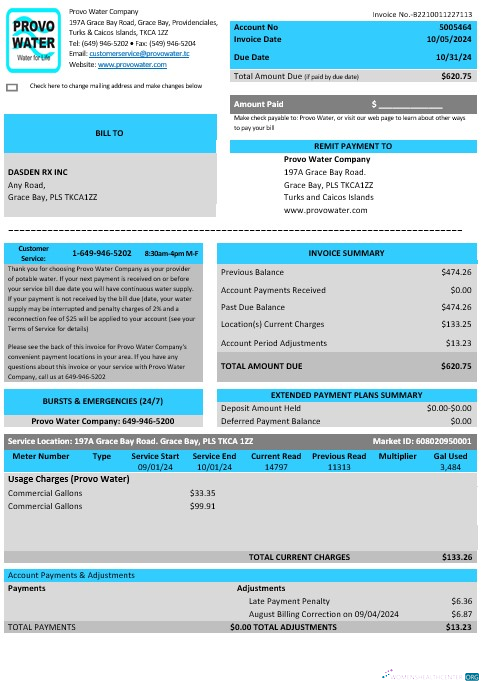 United Kingdom Turks and Caicos Islands Provo Water Company business utility bill Word and PDF template